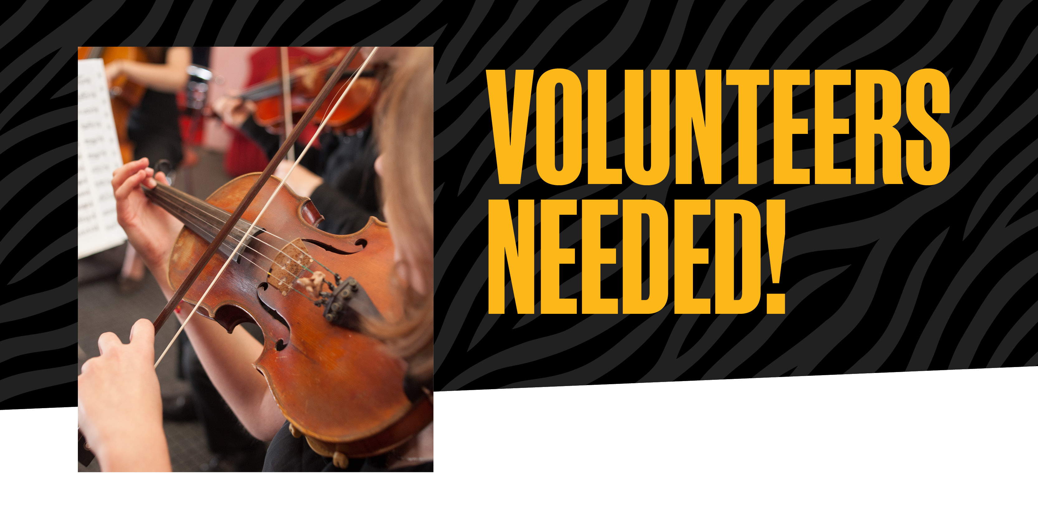 volunteers needed graphic